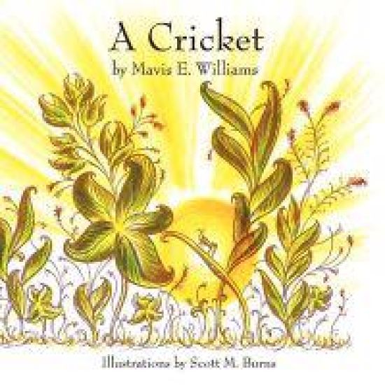 A Cricket