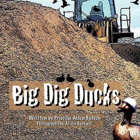 Big Dig Ducks