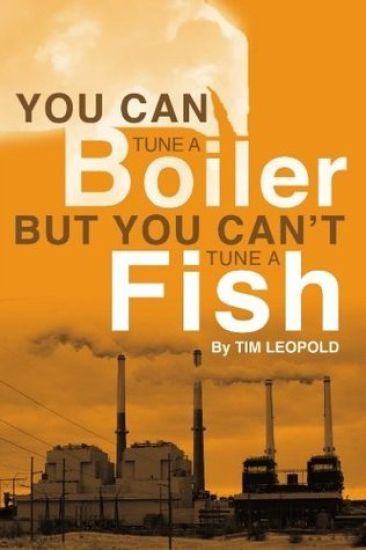 You Can Tune a Boiler, But You Can't Tune a Fish