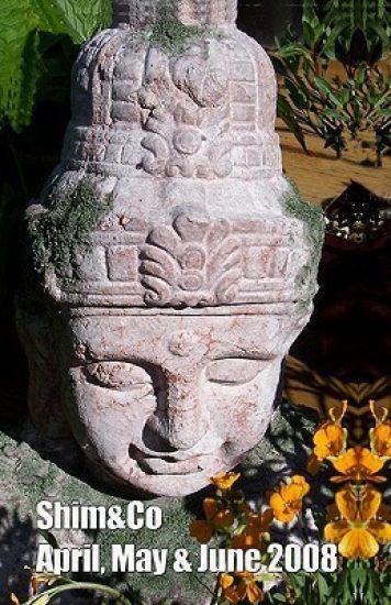 Shim&Co: April, May & June 2008