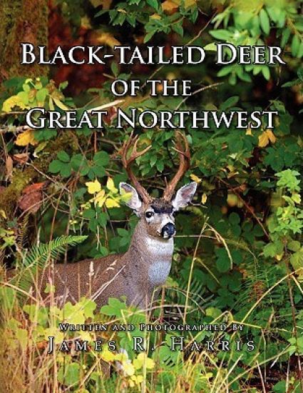 Black-Tailed Deer of the Great Northwest