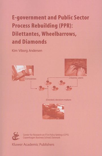 E-government and Public Sector Process Rebuilding