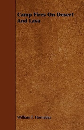 Camp Fires On Desert And Lava