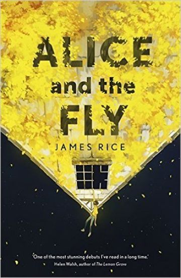 Alice and the Fly