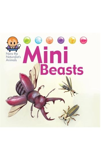 Nora the Naturalist's Animals: Minibeasts
