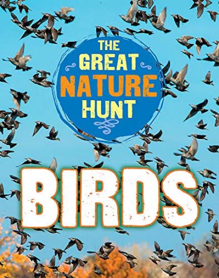 The Great Nature Hunt: Birds