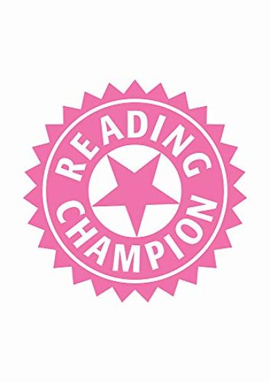 Reading Champion: Cat on the Magic Mat