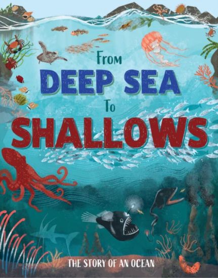 From Deep Sea to Shallows: The Story of an Ocean
