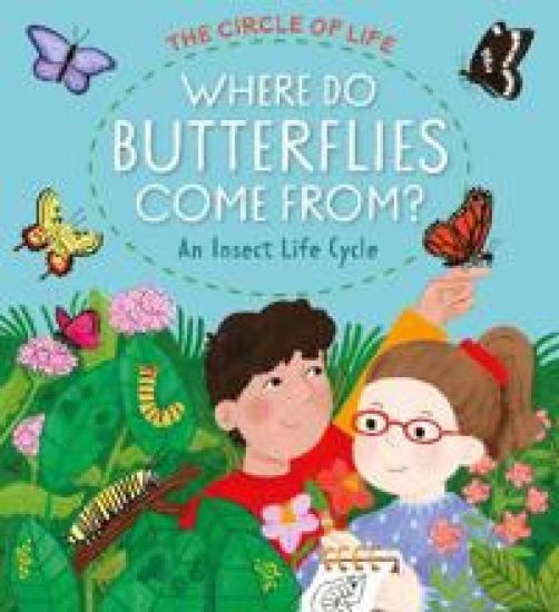 Where Do Butterflies Come From? The Insect Life Cycle