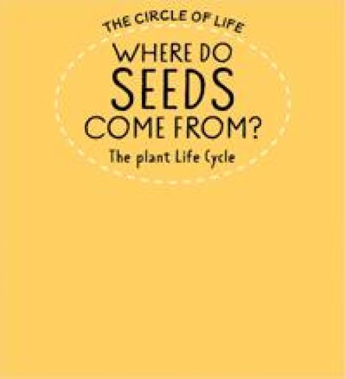 Where Do Seeds Come From? The Plant Life Cycle