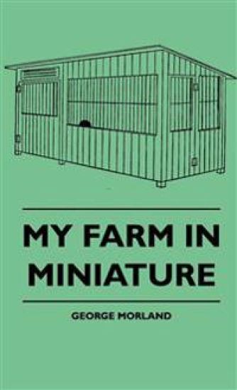 My Farm In Miniature