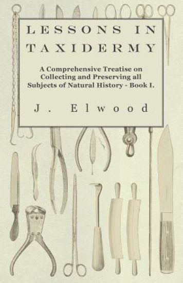 Lessons In Taxidermy - A Comprehensive Treatise On Collecting And Preserving All Subjects Of Natural History - Book I.