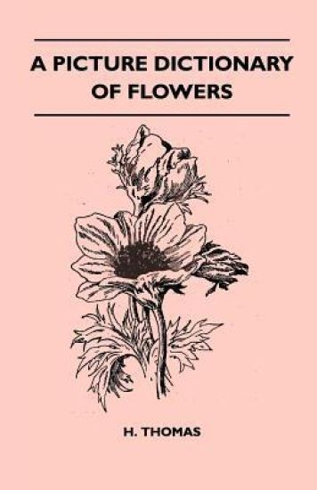 A Picture Dictionary Of Flowers