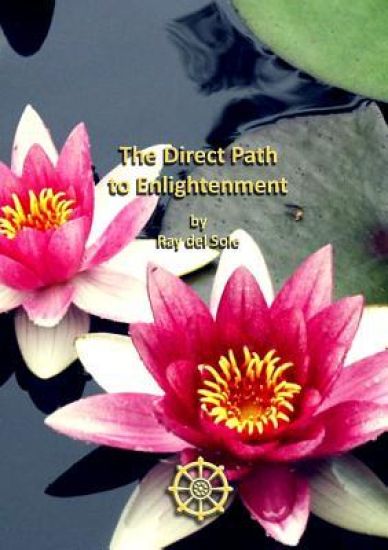 The Direct Path to Enlightenment