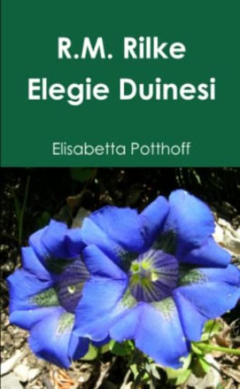 Rainer Maria Rilke - Elegie Duinesi