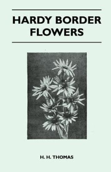 Hardy Border Flowers