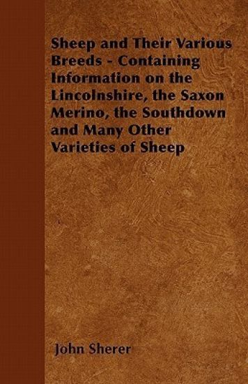 Sheep and Their Various Breeds - Containing Information on the Lincolnshire, the Saxon Merino, the Southdown and Many Other Varieties of Sheep