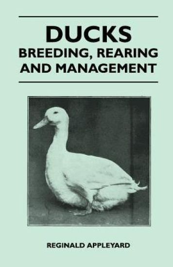 Ducks - Breeding, Rearing and Management