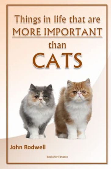 Things in Life That are More Important Than Cats