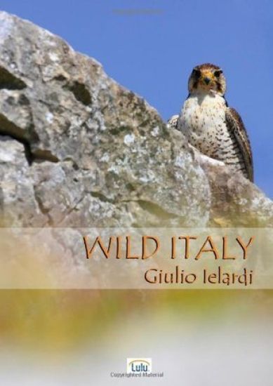 Wild Italy