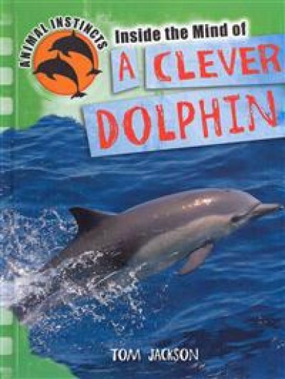 Inside the Mind of a Clever Dolphin