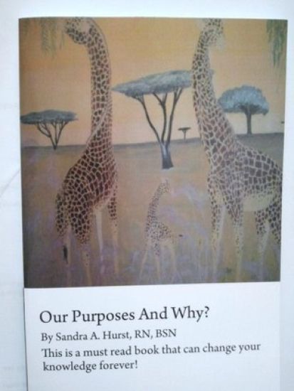 Our Purposes And Why?