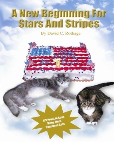 A New Beginning For Stars And Stripes
