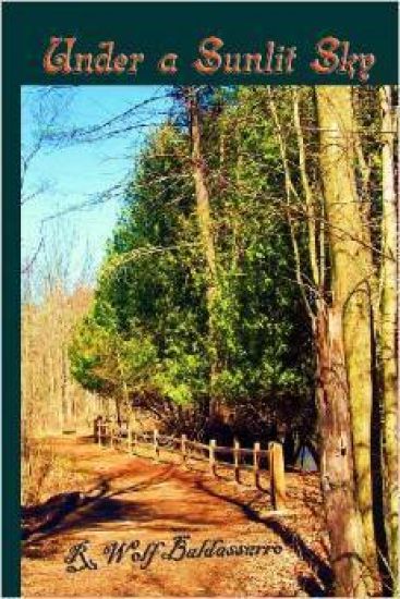 Under a Sunlit Sky