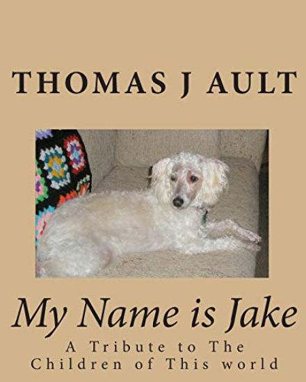 My Name is Jake: A Tribute to The Children of This world