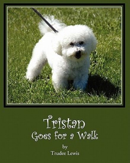 Tristan Goes for a Walk: A Tristan and Trudee Story