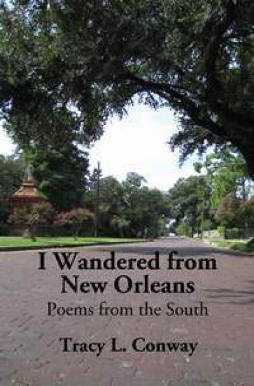I Wandered From New Orleans: Poems from the South
