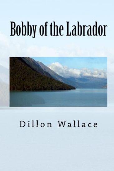 Bobby of the Labrador