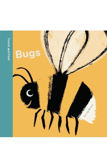 Spring Street Touch and Feel: Bugs