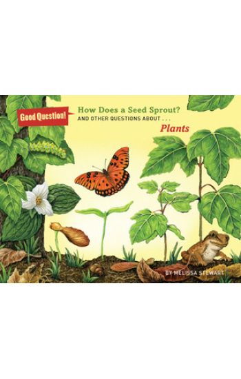 How Does a Seed Sprout?