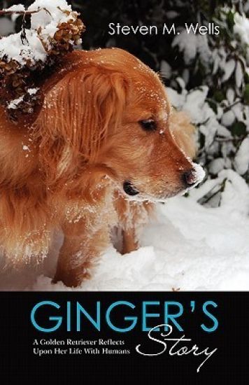 Ginger's Story: A Golden Retriever Reflects Upon Her Life With Humans