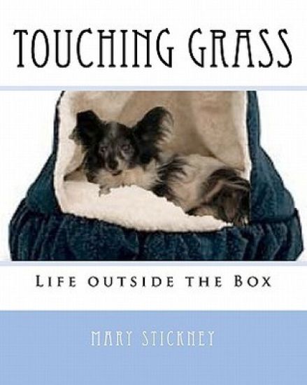 Touching Grass: Life outside the box