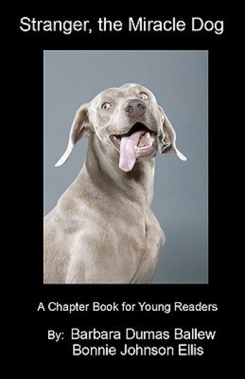 Stranger, the Miracle Dog