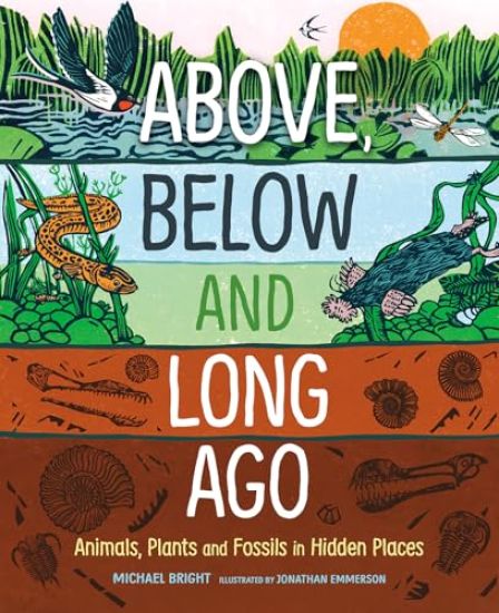 Above, Below and Long Ago: Animals, Plants and Fossils in Hidden Places