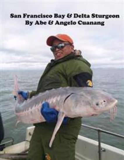 San Francisco Bay And Delta Sturgeon