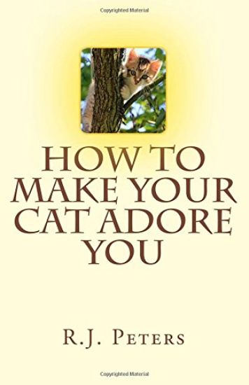 How to Make Your Cat Adore You