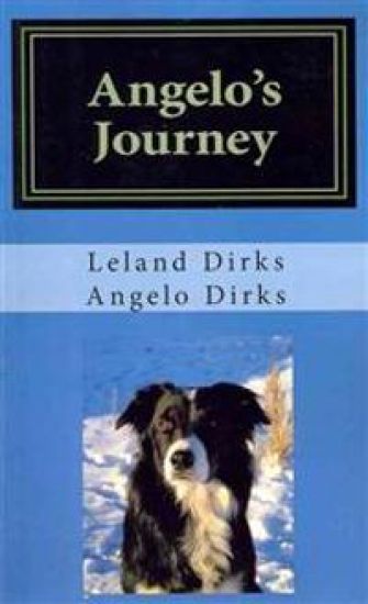 Angelo's Journey: A Border Collie's Quest for Home