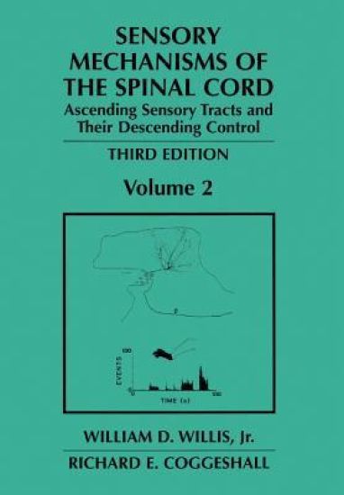 Sensory Mechanisms of the Spinal Cord