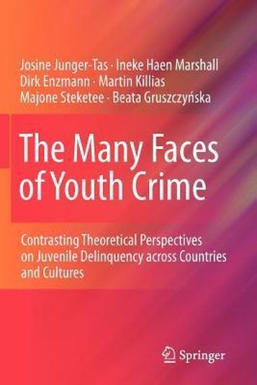 The Many Faces of Youth Crime