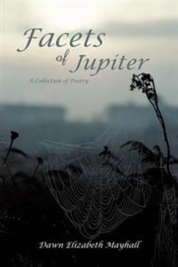 Facets of Jupiter