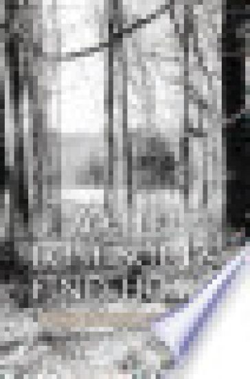 To Help Lost Souls Find Home