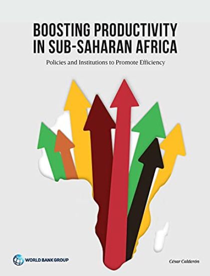 Boosting Productivity in Sub-Saharan Africa
