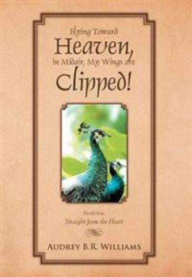Flying Toward Heaven, in Midair, My Wings are Clipped!