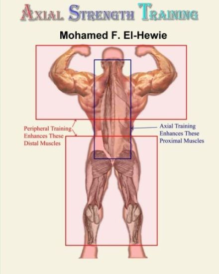 Axial Strength Training: Essentials of Weightlifting Strength Training
