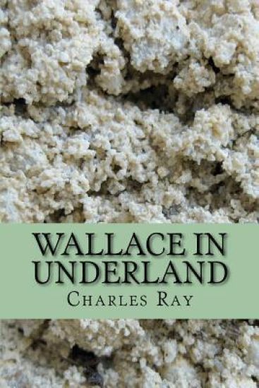 Wallace in Underland: An urban fantasy - with illustrations by the author