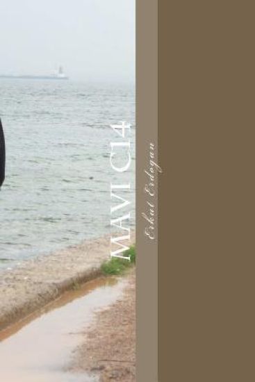 Mavi C14: 2.Versiyon